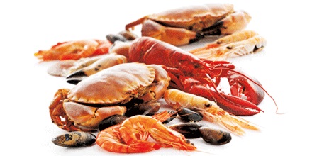 Seafood